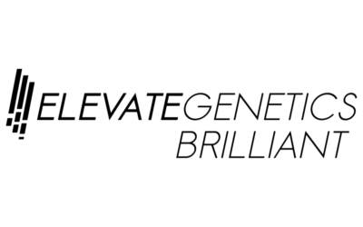 Center for Genomic Interpretation Launches ELEVATEGENETICS BRILLIANT Program
